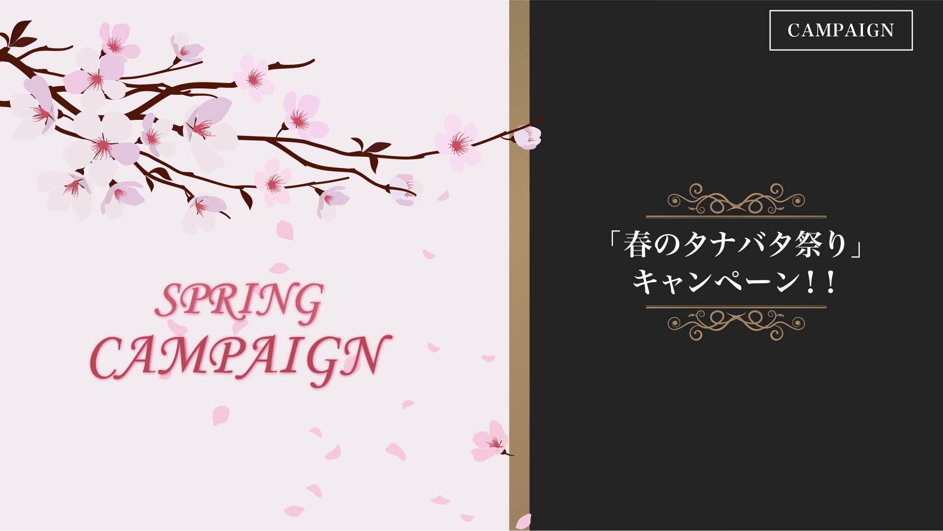 SPRING-CAMPAIGN